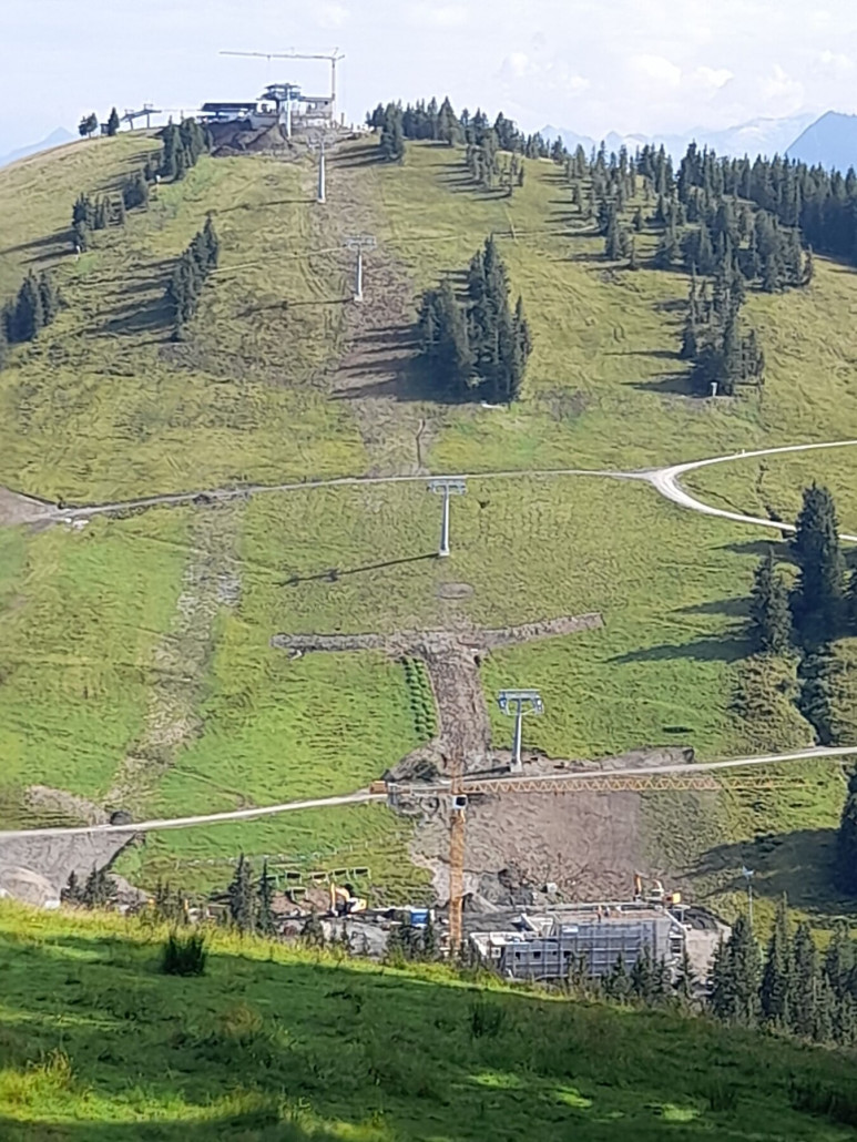 Strecke: Bis auf die 3 Stützen gleich nach der Talstation stehen alle