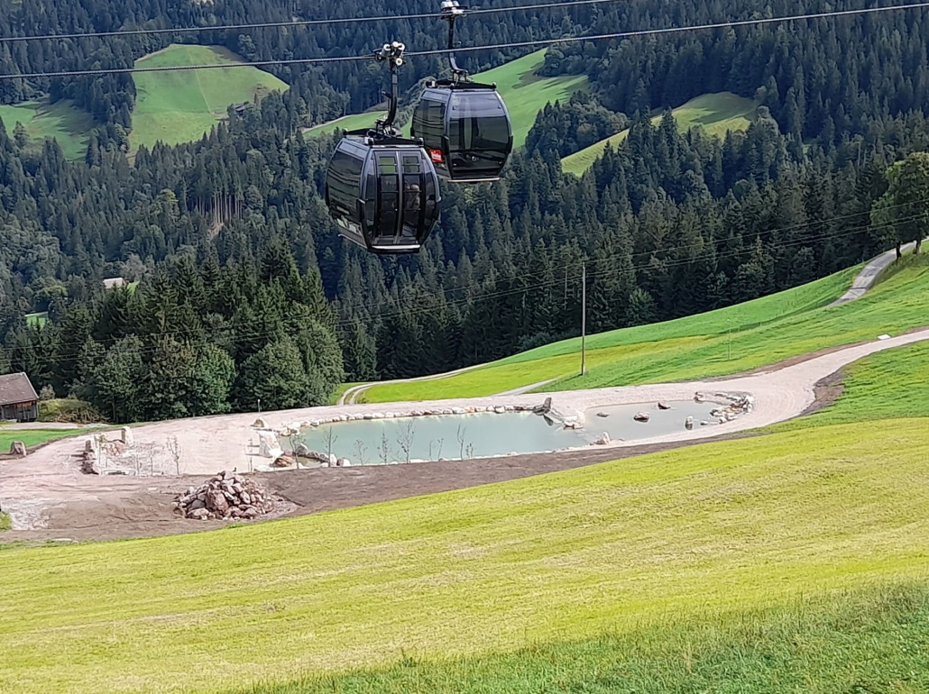 der "renatuirerte"  Speicherteich Lechen (Hochsöll)