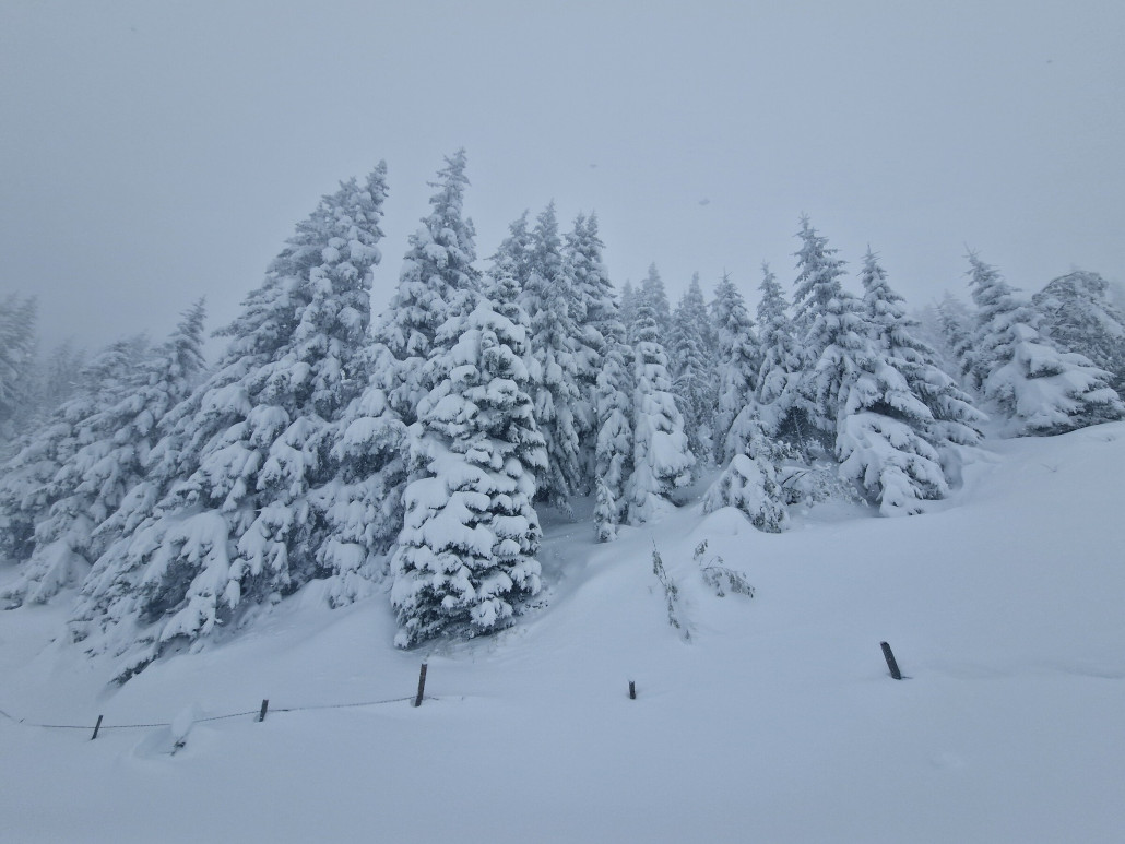 Kitz_Saisonstart_24 (18).jpg