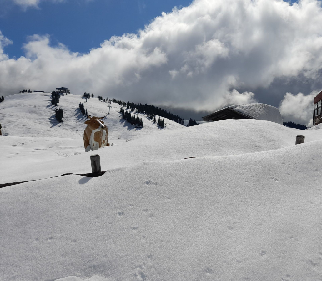 Bereich Tanzbodenalm: der Zaun ist fast ganz eingeschneit