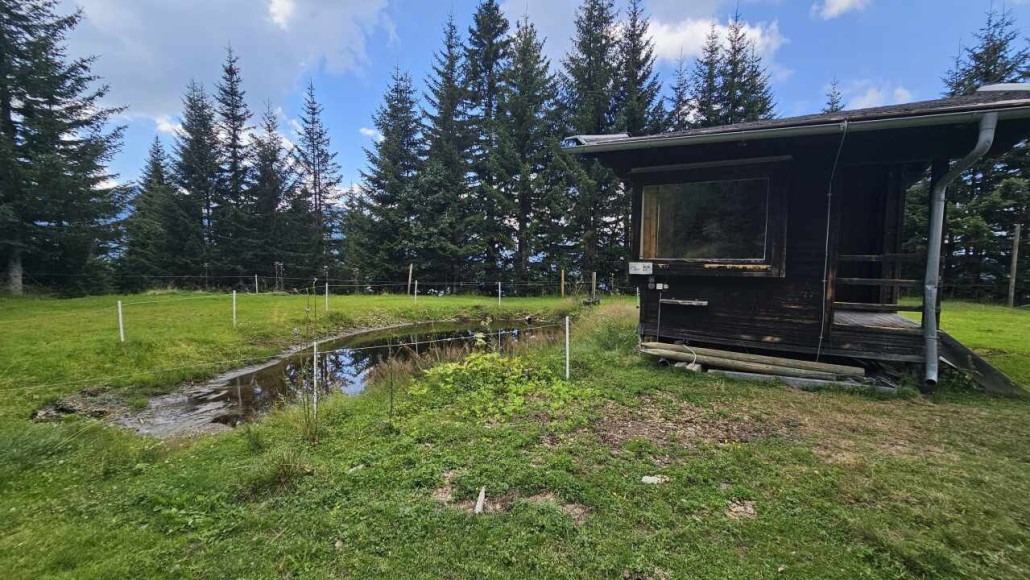 Eggeralmlift Talstation - nun mit Teich statt Liftfundament