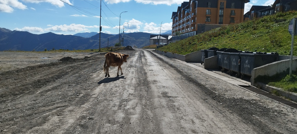 In New Gudauri gibt es eine Baufirma die dort überwiegend tätig ist, ich nenne Sie mal "Rote Firma". Deren Engineering ist nicht wirklich "State of the Art". Meine Geschäftspartner aus Tiflis haben mir da so einiges drüber erzählt.... <br /><br />Die machen angeblich die Straßen neu. Nun ja, die Straßen in New Gudauri sind eine ziemliche Vollkatastrophe, besonders im Bereich vor dem Supermarkt spielen sich unglaubliche Szenen ab im Schnee mit SUV und Mensch. Man sagt auch "You don't need TV in New Gudauri if you have balcony above supermarket"