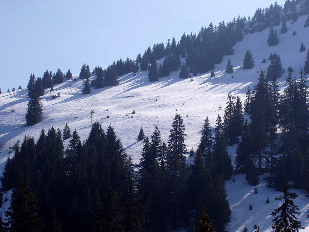 Oberer Teil des Skilift Bortegg mit Schräg-T Stützenverlängert