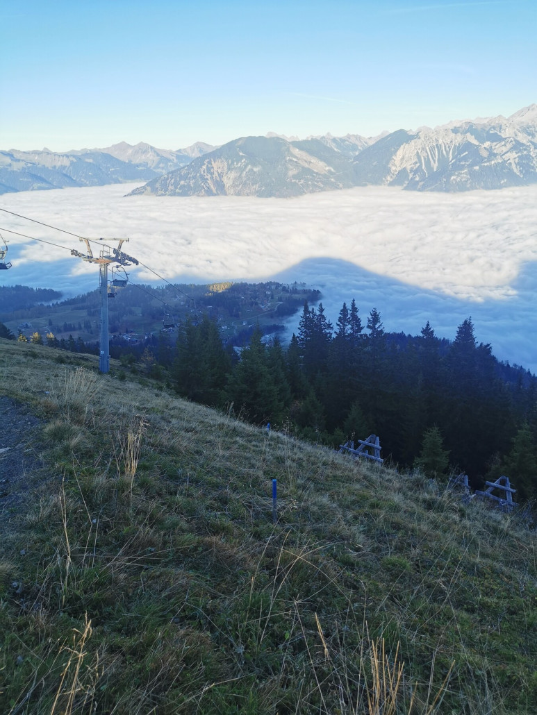 An den beiden blau angemalten Pflöcken müssten später mal die beiden letzten Stützen stehen.