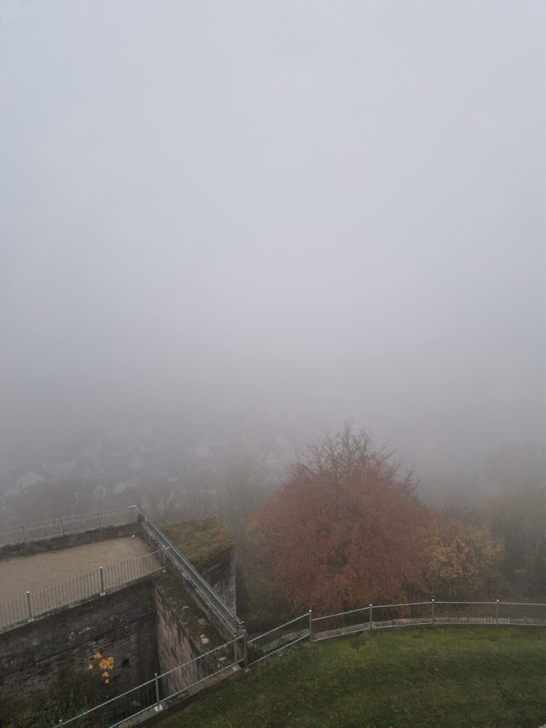 WhatsApp Image 2024-11-11 at 21.20.19.jpeg