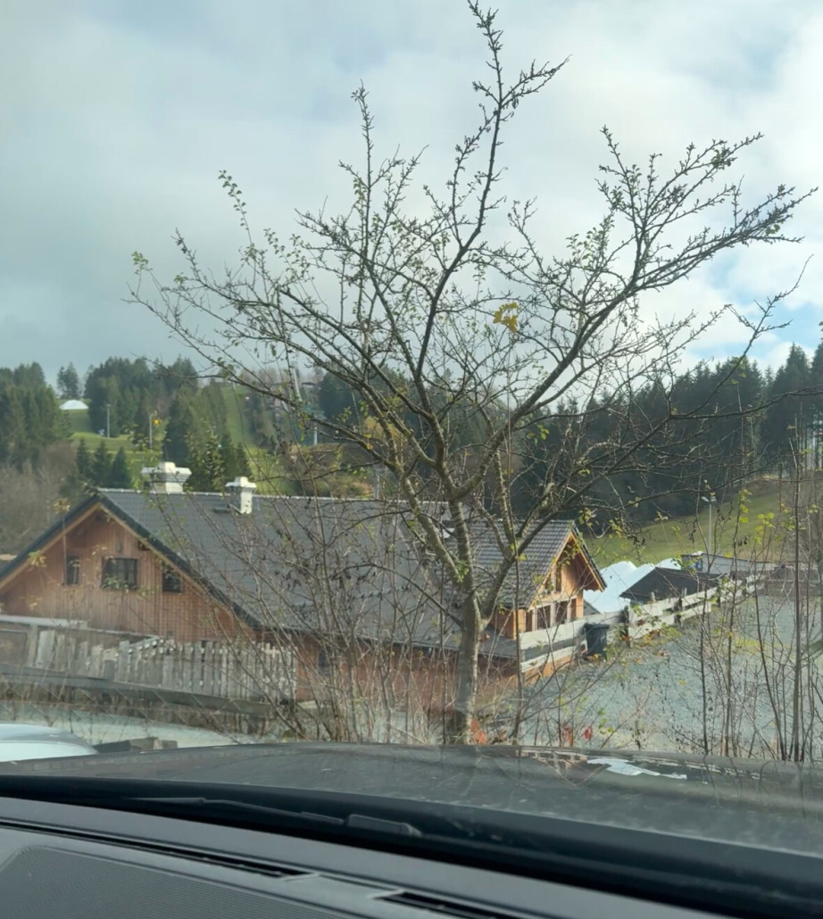 Leider nur als Screenshot aus nem kurzen Video…richtig Dokumentieren übe ich nochmal ;)