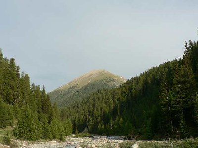 Einfach was schönes Fotografiert