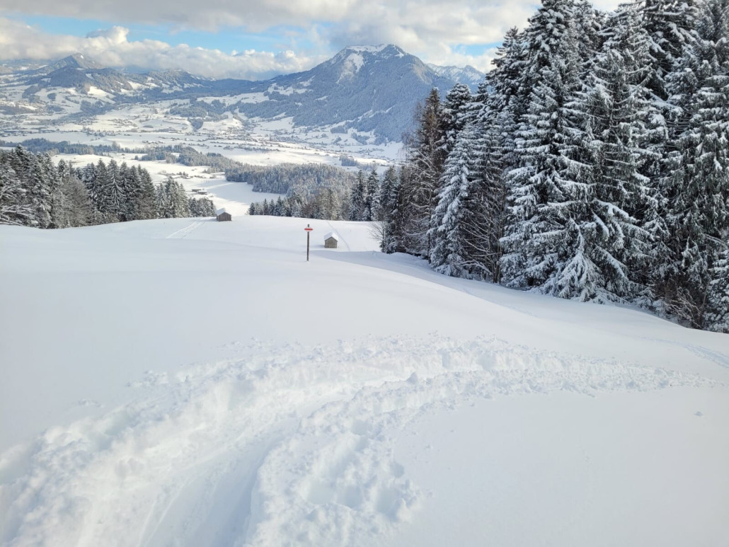 WhatsApp Bild 2024-11-25 um 09.49.35_e26a298d.jpg