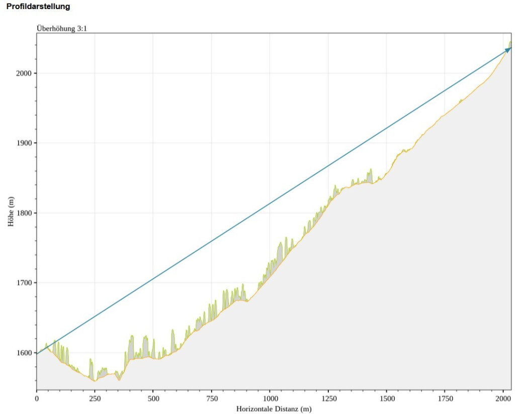 Screenshot 2024-11-25 110239.jpg