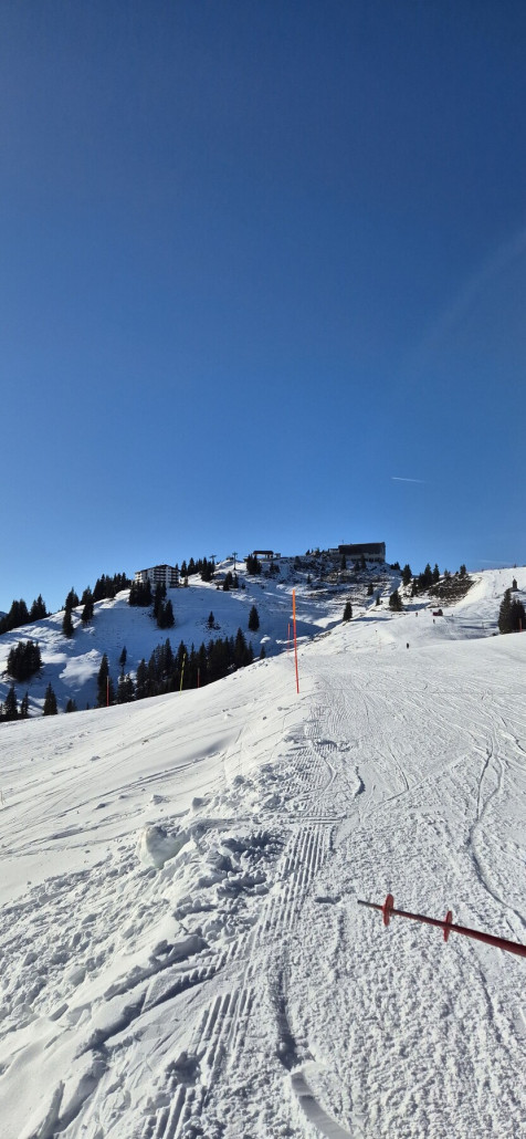 Blick Richtung alte Fleckalmbahn Bergstatiom