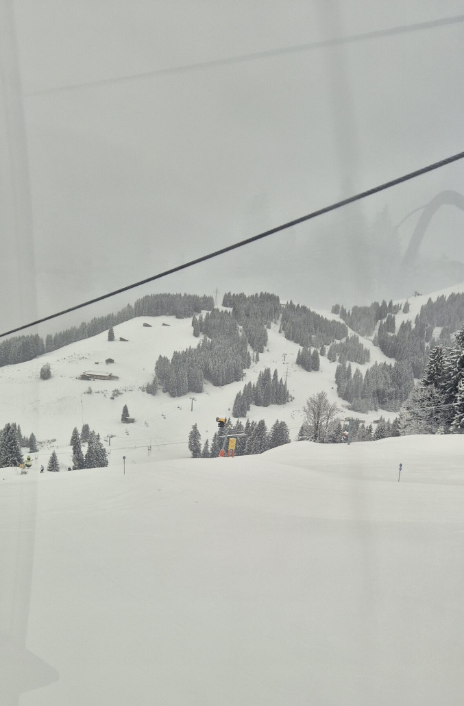 Blick aus der Zinsbergbahn Richtung Kälbersalvenbahn (Brixen im Tale)
