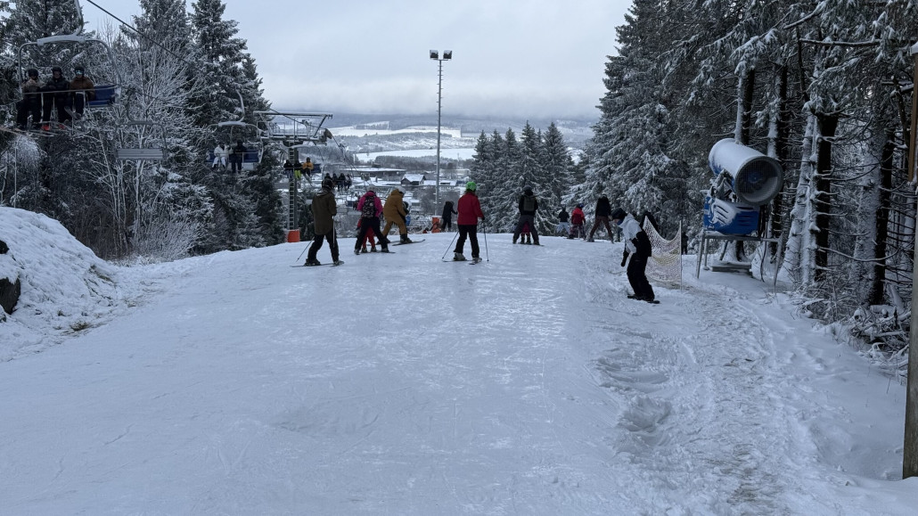 Rauher Busch am Tagesende eisig