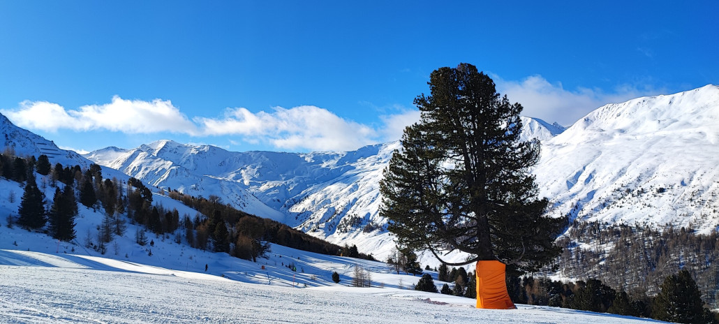 Weiter Blick in Rojental.