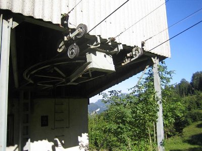 IMG_4617 (Large) (Medium).JPG