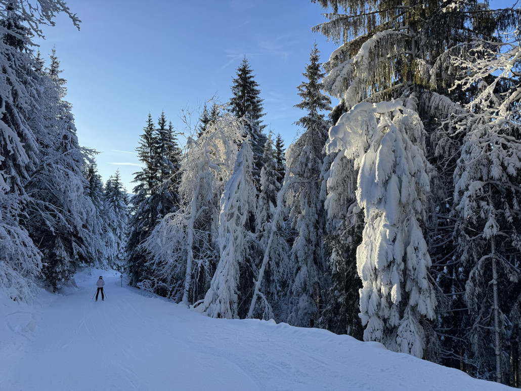 Das Werk einer Schneekanone auf der 2c, unserer letzten Abfahrt