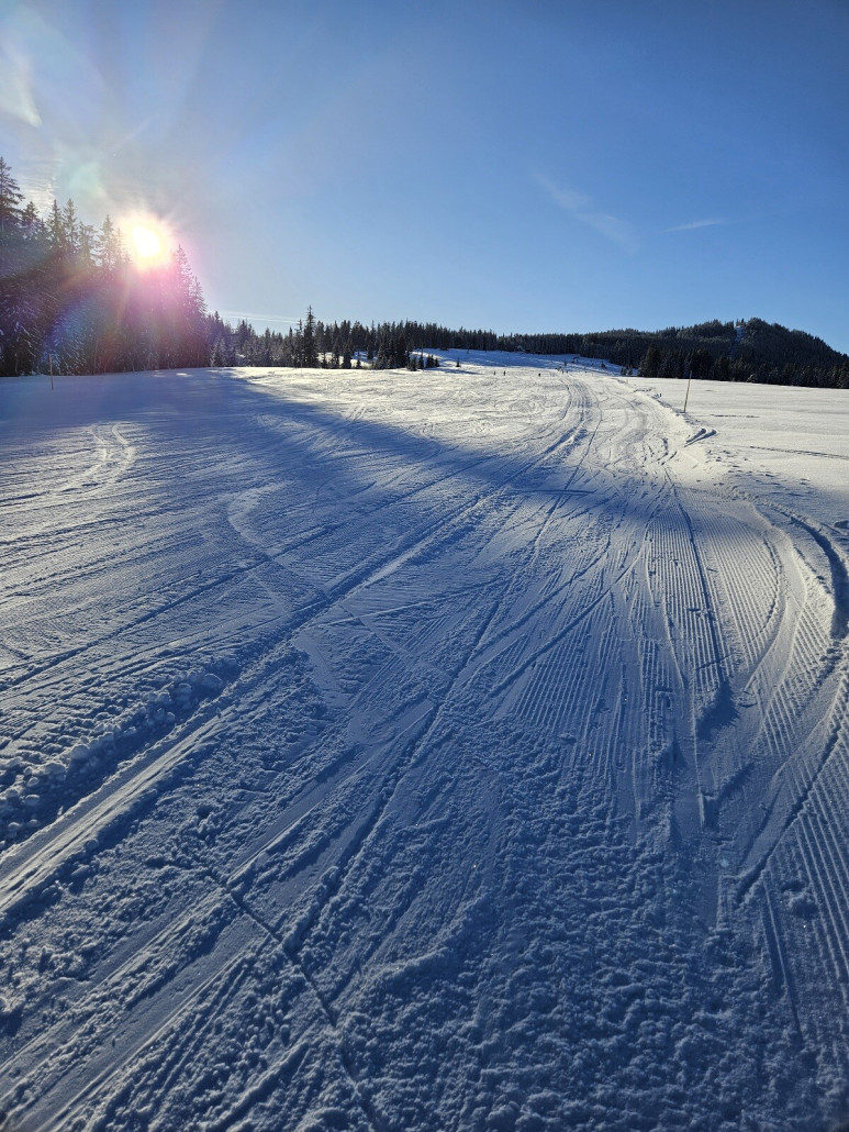 Piste an der Roßalmbahn. Ideale Piste für Kiner und Anfänger. Schaut zwar hier nicht so aus, ist aber eine der flachsten Pisten, die ich überhaupt kenne