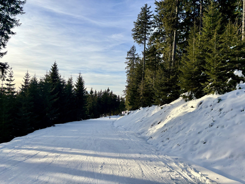 kurz vor Neklid immernoch super, keine Steine