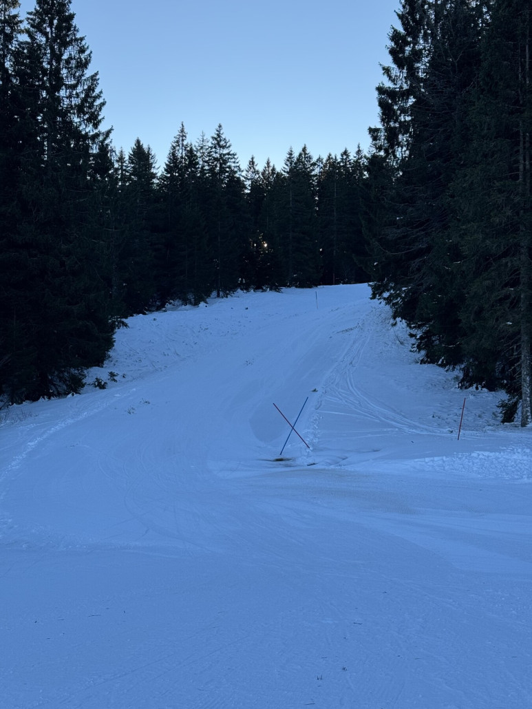 Fahler Loch im Mittelteil - unten noch mehr Gras und apere Stellen, aber gut fahrbar