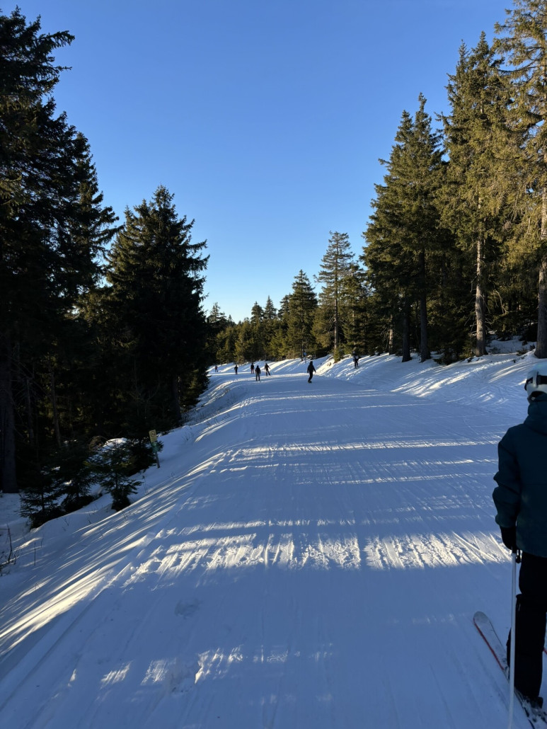 Ziehweg in Richtung Neklid