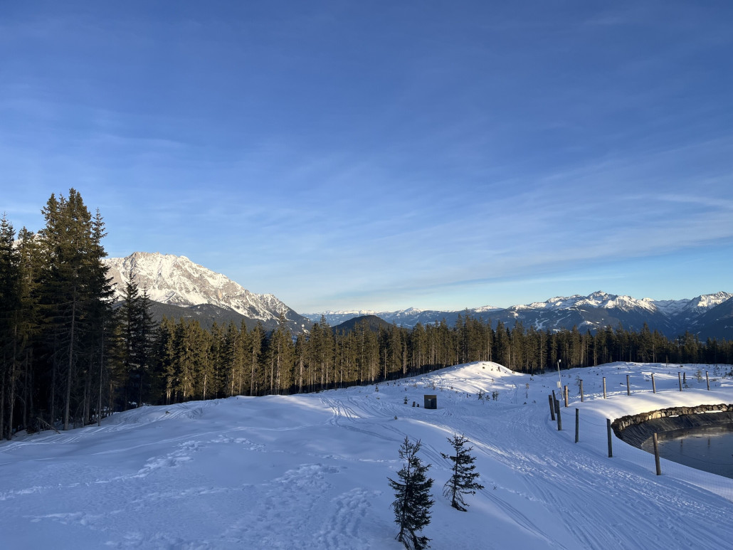 Durch die Rodungen hinter der Schörgi Alm (Papageno Bergstation) hat man jetzt einen schönen Ausblick Richtung Schladming