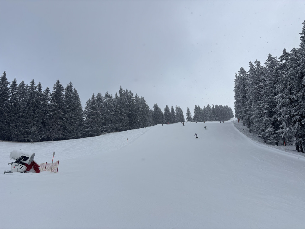 Und ab in Richtung Kropfen - da war durch den Wald die Sicht noch am besten