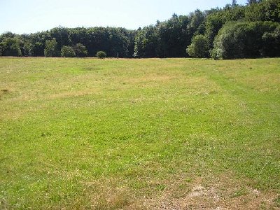 Skihang des linken Seilliftes von unten aus gesehen. Hat kein schlechtes Gefälle im Vergleich zu den anderen Taunushängen.
