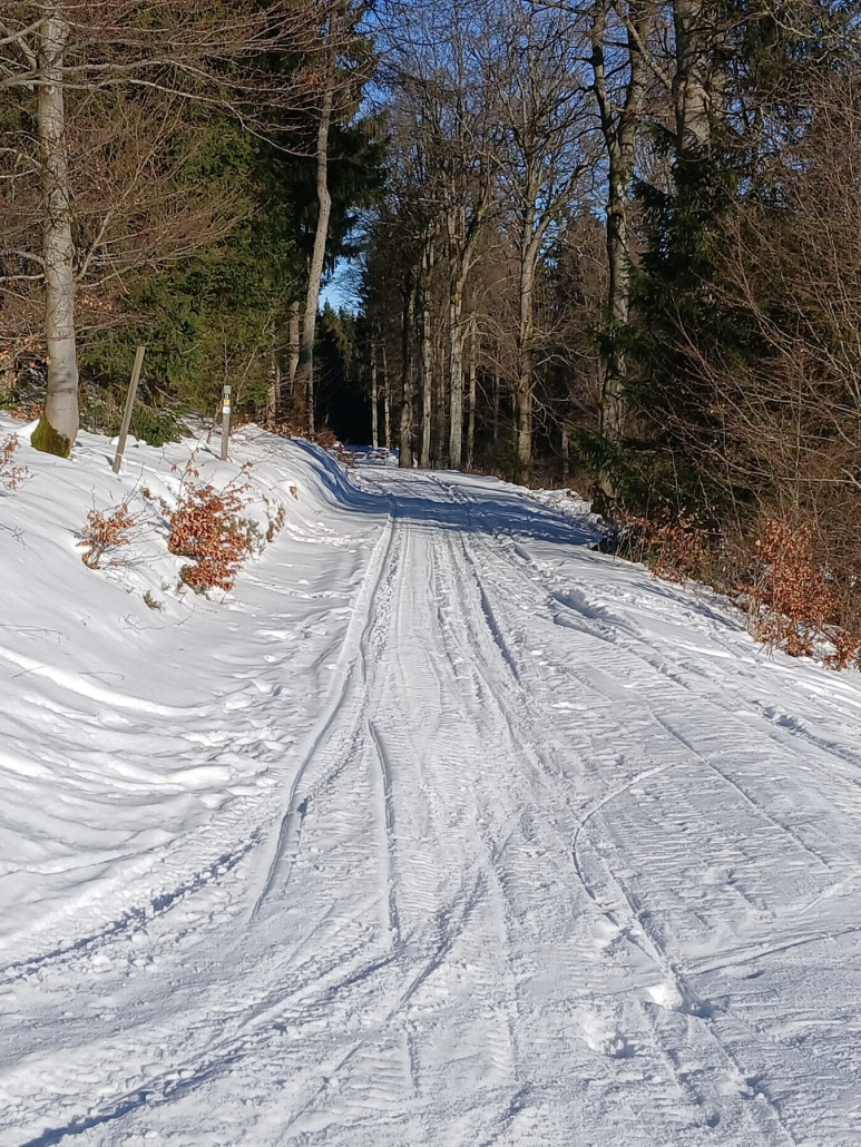 der Waldweg einen Abzweig darunter führt mit etwas Stockeinsatz auch zum Ritzhagen