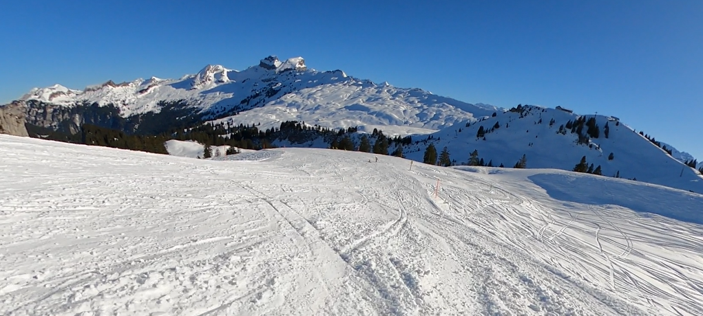 Screenshot (211).png