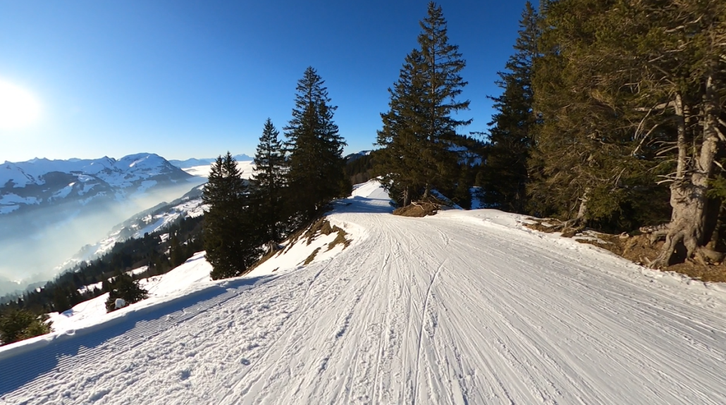 Screenshot (225).png