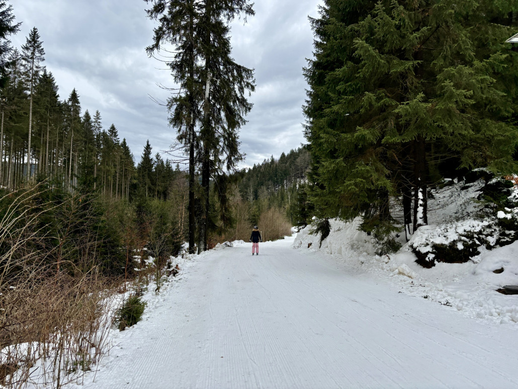 Piste 7 "Daniela" nicht viel aber ausreichend Schnee, aber viel zu flach und darum nur 1x gefahren