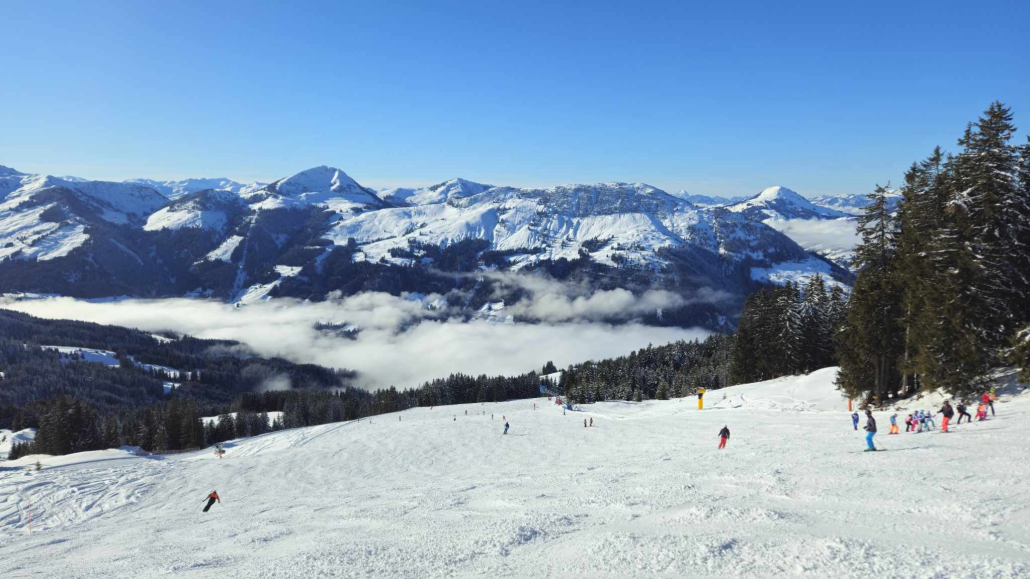 01-29-2025, 16-31-08.png