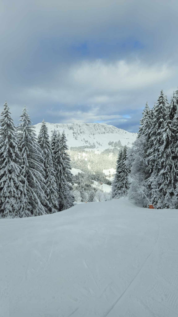 01-29-2025, 16-31-52.png