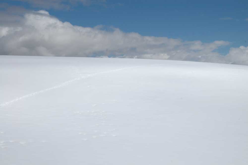 So, wir sind oben. Sehr flach!