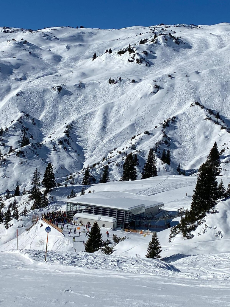 WhatsApp Image 2025-02-03 at 11.12.47.jpeg