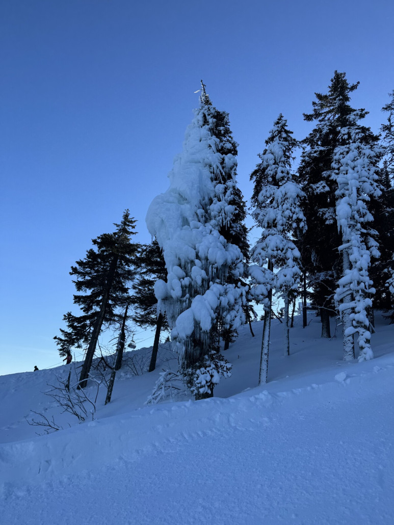 Ein „Opfer“ der Beschneiung :)