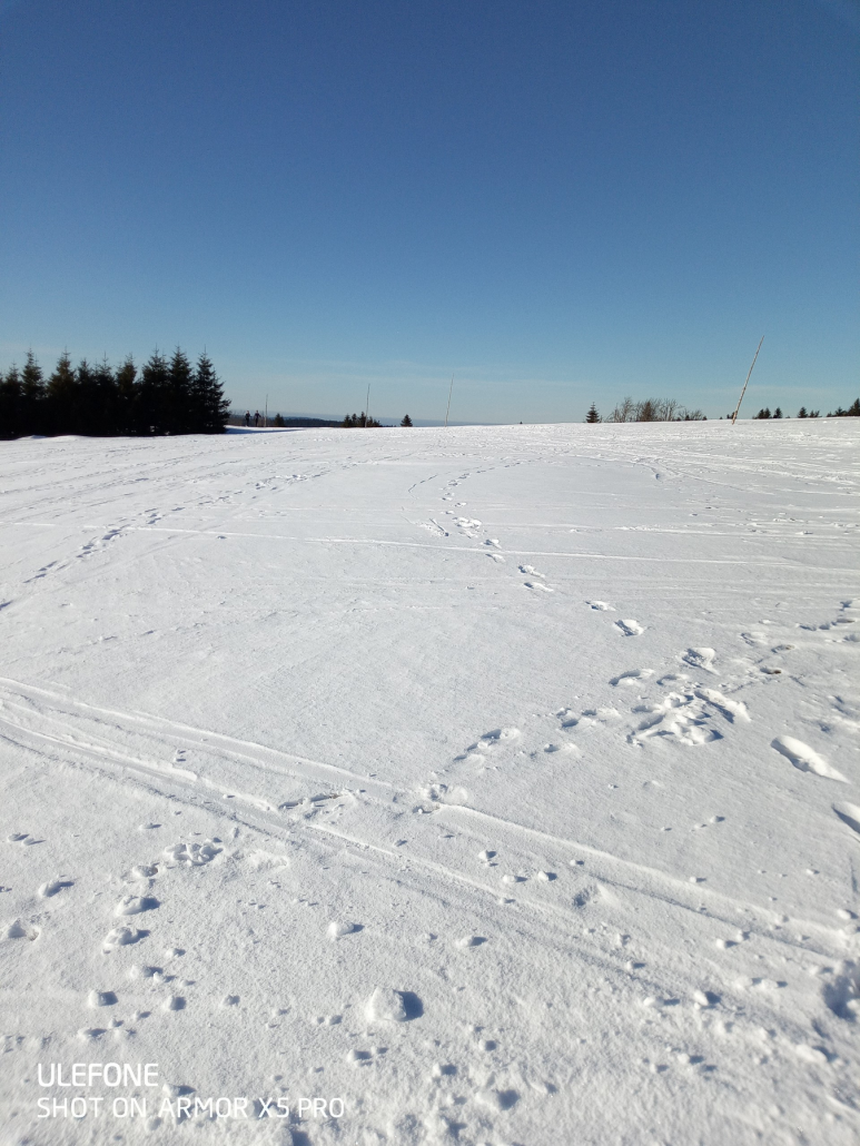 02-05-2025, 08-22-03.png