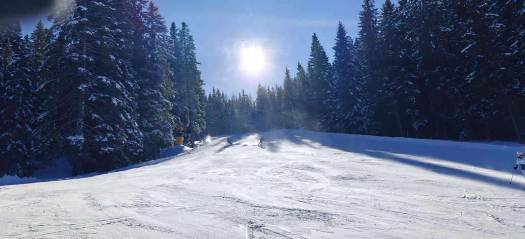 weiter gehts zur berühmt-berüchtigten Holzriese Abfahrt