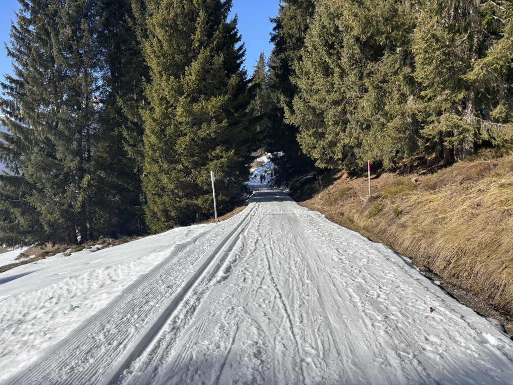 Dann endet man auf der Loipe und kommt dann…