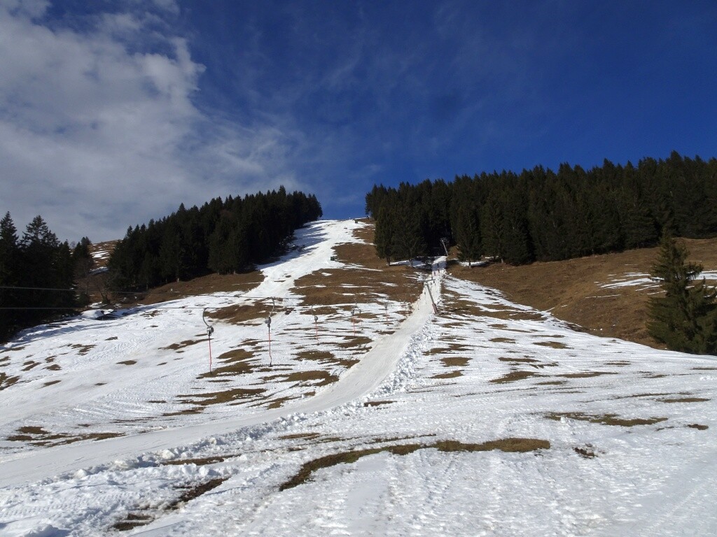Trasse Hochbühllift mit schwarzer Abfahrt (9)