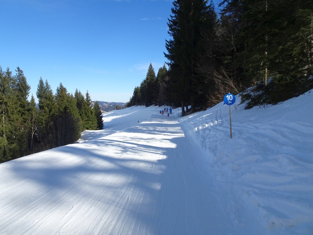 Flacher Skiweg zur Imbergbahn (10)