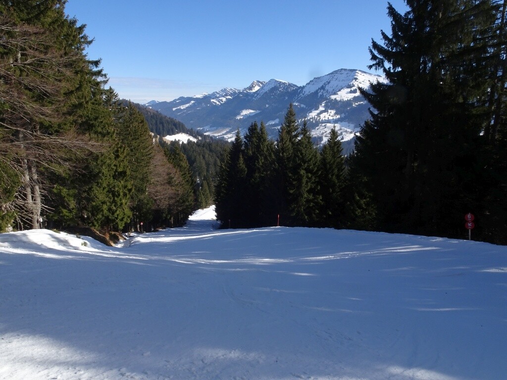 Via Steinegundabfahrt (6) ins Tal