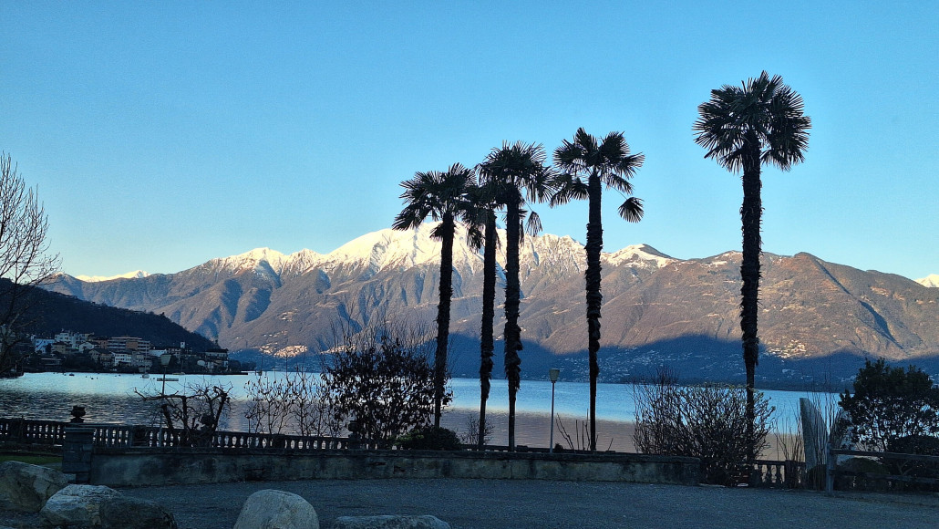 Mago Maggiore unter Palmen. 200müM