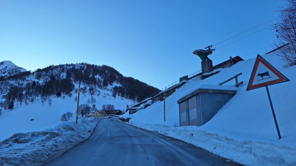 Kühe trifft man nicht, zumindest im Winter nicht