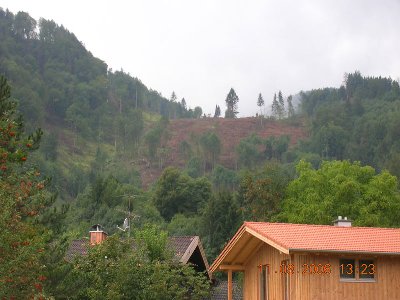 Massive Rodungen links der Standardpiste.