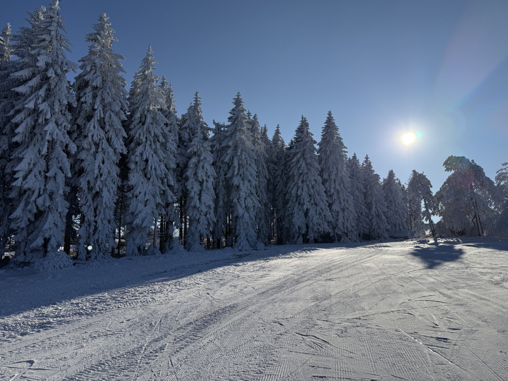 Wilddieb Bergstation am Nachmittag