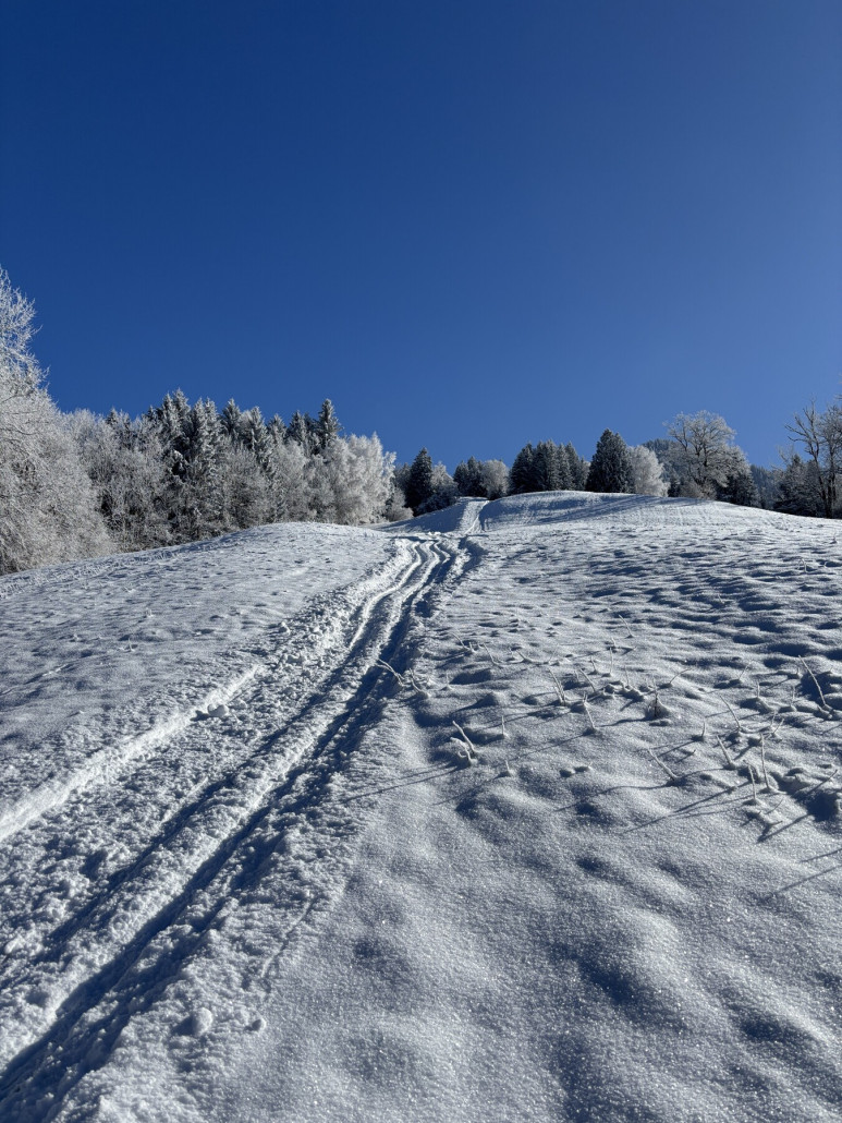 Rodelspur beinahe auf ehemaliger Trasse