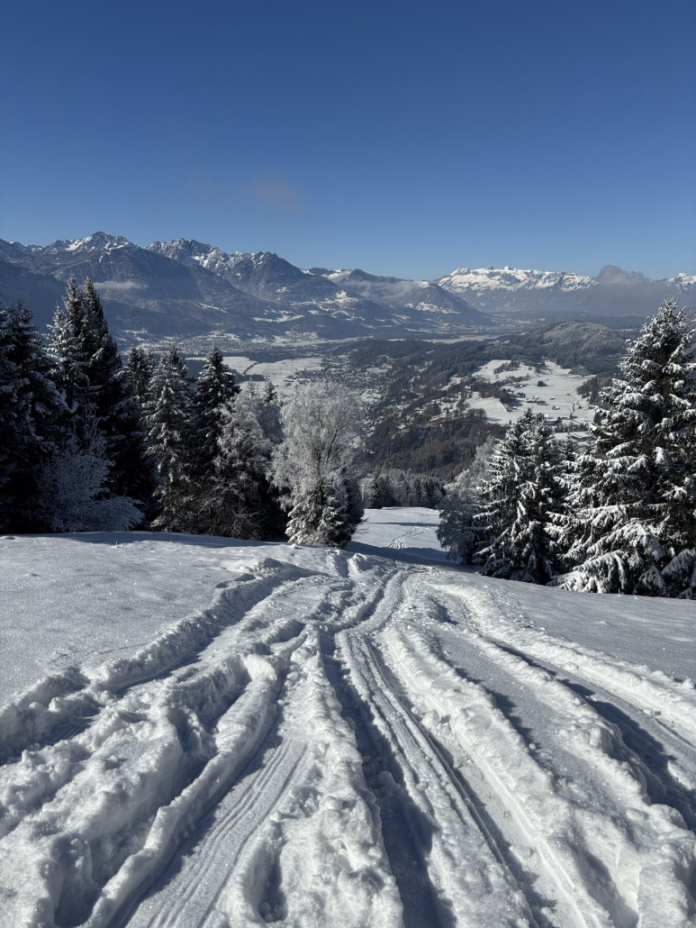 Blick von der Bergstation