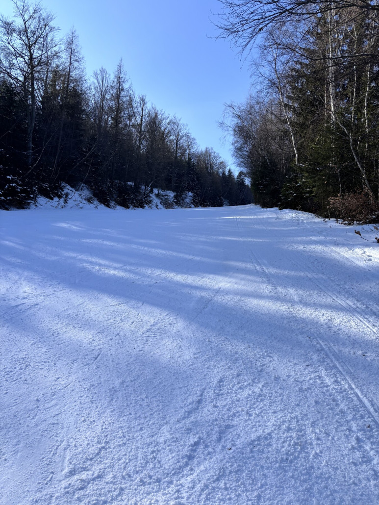 und 4 ohne Beschneiung gingen zu fahren
