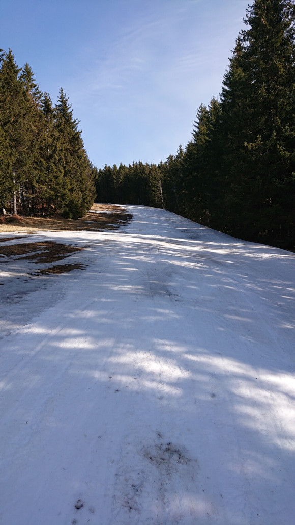 Oben noch ganz ok, unten weiterhin sehr gute Auflage