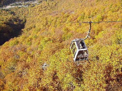 Bahn kommt ohne Waldschneise aus. Entsprechend spektakulär die Trasse